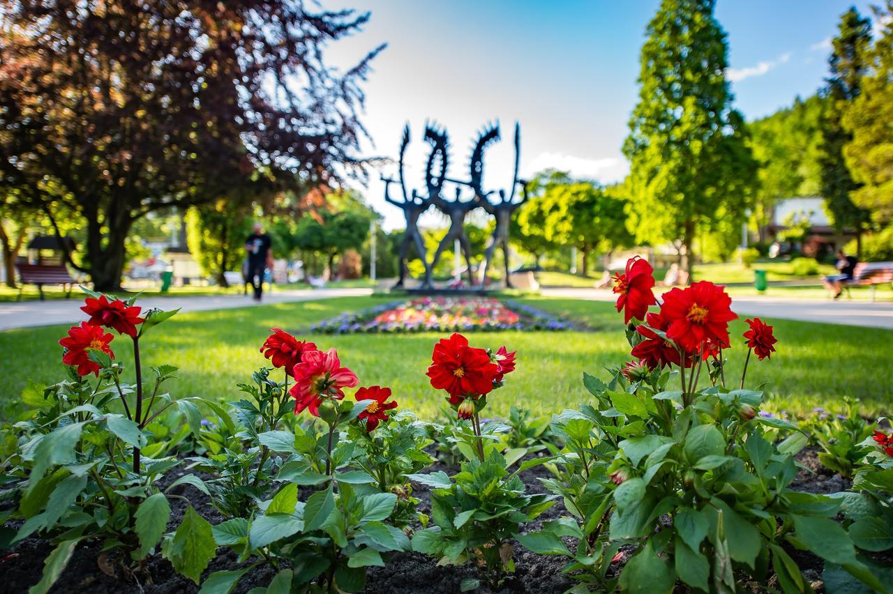 Apartamenty Sun & Snow Centrum Krynica Zdrój Kültér fotó